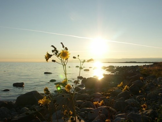 ФОТО: Пейзаж, архитектура, город